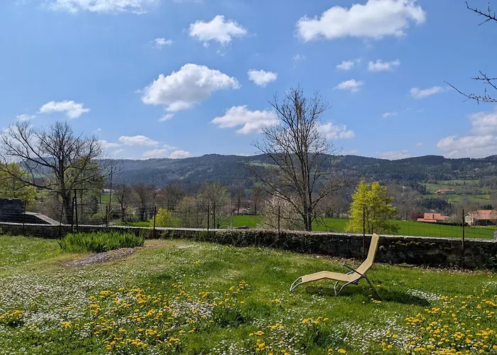 Elegante Maison De Maitre Xviiie, Jardin Clos 500m², Nature, Proche Puy-en-velay, 11 Pers., Cosy & Confort - Fr-1-582-315 *